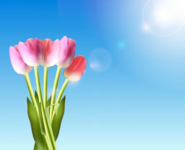 Mooie roze tulpen tegen glanzende Sky vectorillustratie — Stockvector