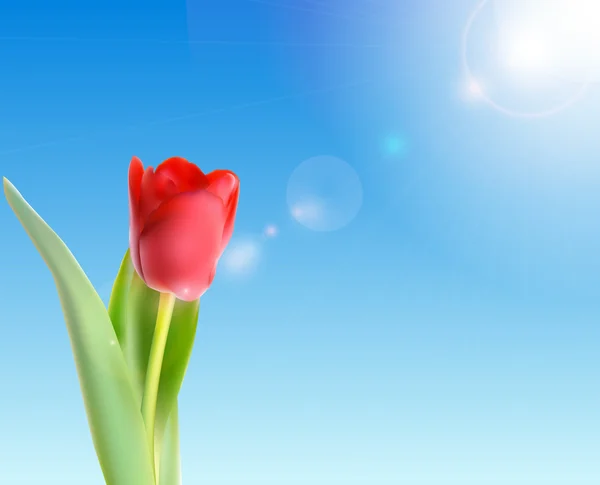 Belles tulipes roses contre le ciel brillant Illustration vectorielle — Image vectorielle