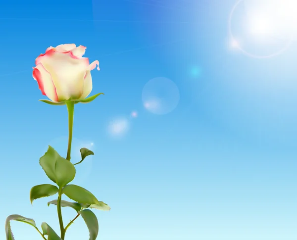 Όμορφο τριαντάφυλλο κατά λαμπερό ουρανό Vector εικονογράφηση — Διανυσματικό Αρχείο
