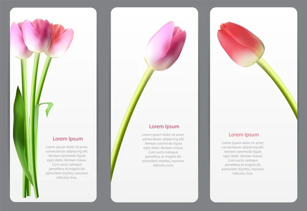 Belos cartões florais com ilustração realista do vetor da tulipa — Vetor de Stock