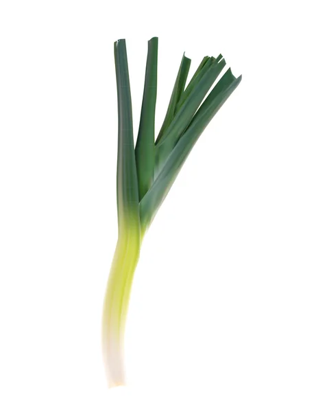 Realistic Fresh Leek High Quality Vector Illustration — Stock Vector