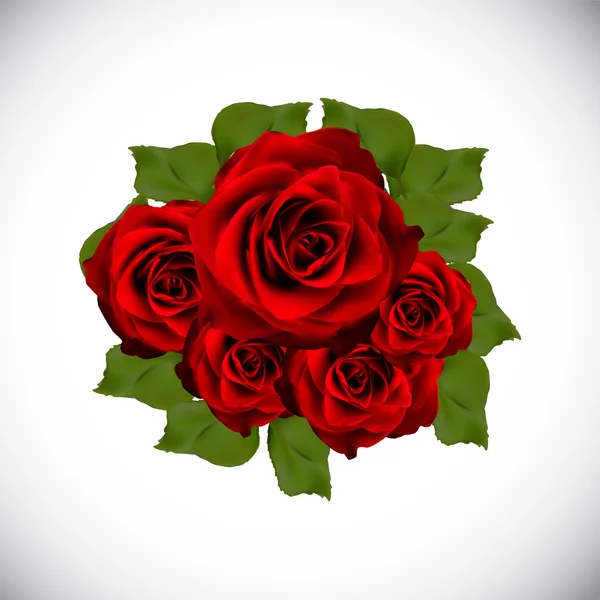 Realistic Rose Ilustração vetorial de alta qualidade — Vetor de Stock