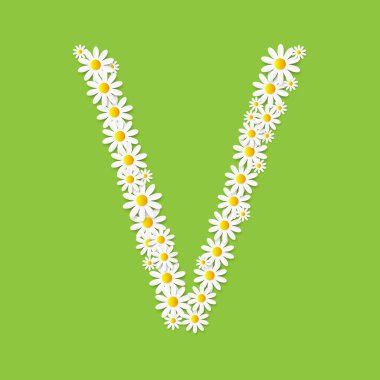Flora Daisy tasarım alfabe vektör esnaf