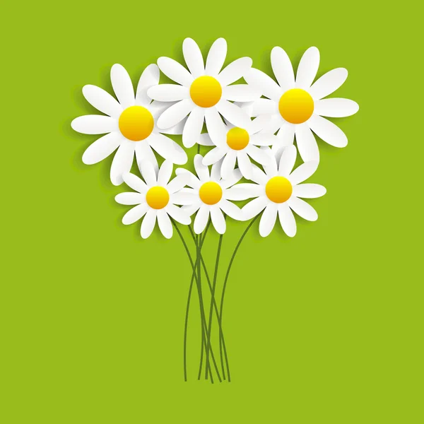 Flora Daisyl Design Vector Illustartion —  Vetores de Stock