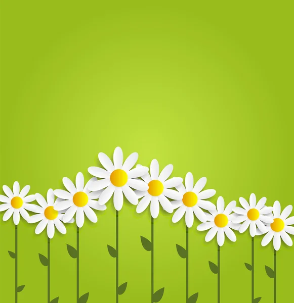 Flora Daisyl diseño vectorial Illustartion — Vector de stock