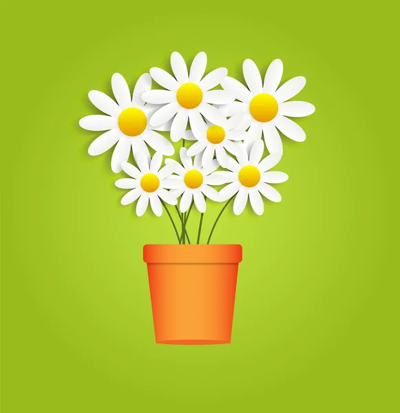 Flora Daisyl Design Vector Illustartion —  Vetores de Stock