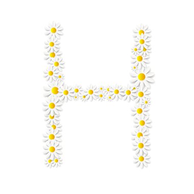 Flora Daisy tasarım alfabe vektör esnaf
