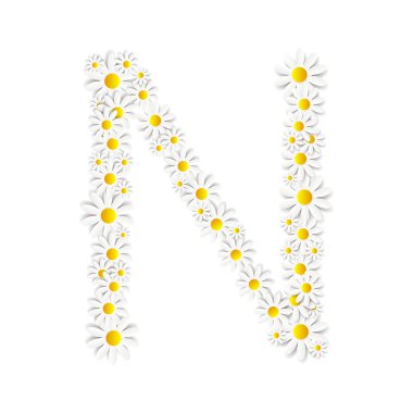 Flora Daisy tasarım alfabe vektör esnaf