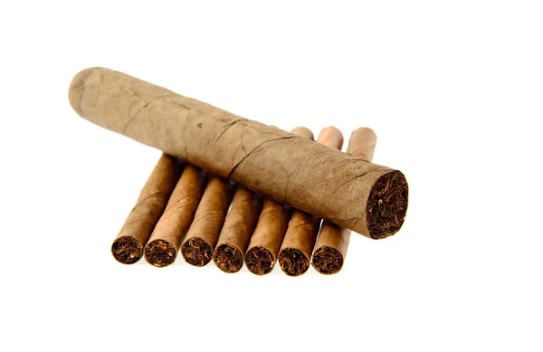 Cigarrer på vit bakgrund — Stockfoto