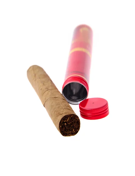 Cigarrer på vit bakgrund — Stockfoto