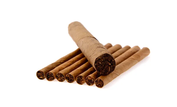 Cigars on White Background — Stock Photo, Image