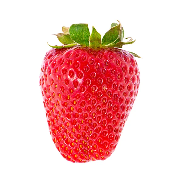 Sweet verse Strawberry geïsoleerd — Stockfoto