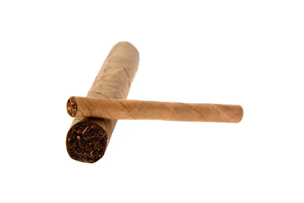 Cigars on White Background — Stock Photo, Image