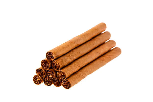 Cigars on White Background — Stock Photo, Image