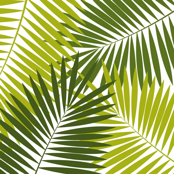 Palm Leaf  Background Vector Illustration — Stock Vector