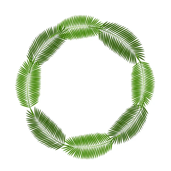 Palm Leaf Frame fundo Vector Ilustração — Vetor de Stock