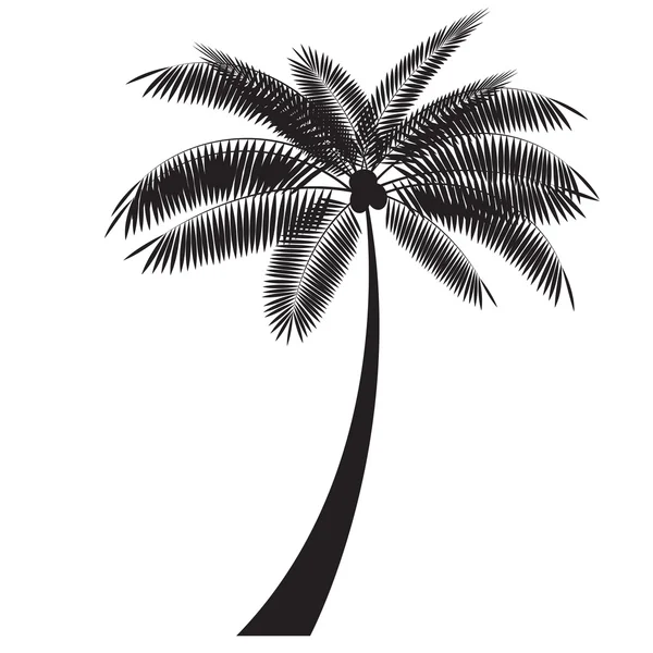 Векторная иллюстрация пальмовых листьев — стоковый вектор