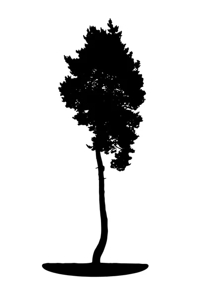 Silueta de árbol aislado sobre fondo blanco. vecrtor illustrati — 스톡 벡터
