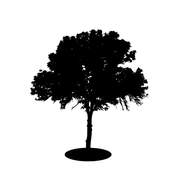 Silueta de árbol aislada en backgorund blanco. Ilustración vectorial — Archivo Imágenes Vectoriales