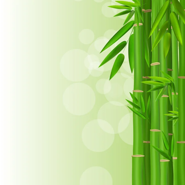 Colorful Stems and Bamboo Leaves Background. Vector Illustration — Stock Vector