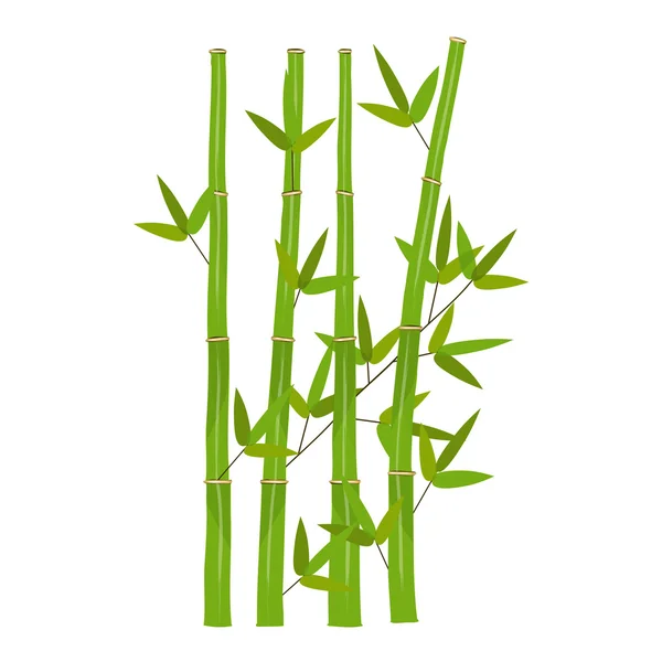 Colorful Stems and Bamboo Leaves. Vector Illustration. — Stock Vector