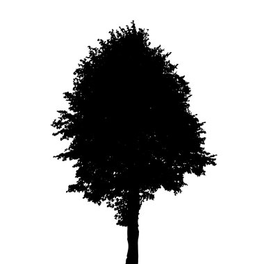 Beyaz arka plan üzerinde izole ağaç siluet. Vektör Illustratio