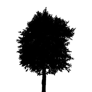 Beyaz arka plan üzerinde izole ağaç siluet. Vektör Illustratio