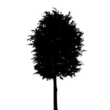Beyaz arka plan üzerinde izole ağaç siluet. Vektör Illustratio