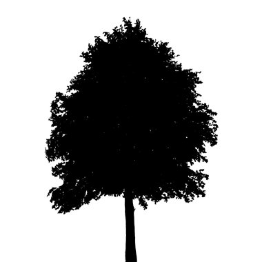 Beyaz arka plan üzerinde izole ağaç siluet. Vektör Illustratio