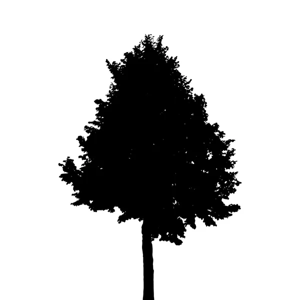 Silhouette d'arbre isolée sur fond blanc. Illustration vectorielle — Image vectorielle