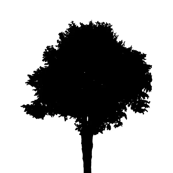 Silueta de árbol aislada sobre fondo blanco. Ilustración vectorial — Archivo Imágenes Vectoriales