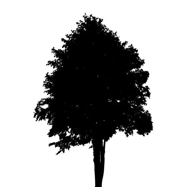 Beyaz arka plan üzerinde izole ağaç siluet. Vektör Illustratio — Stok Vektör