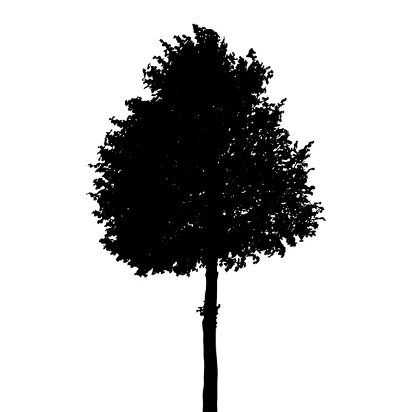 Silhouette albero isolato su sfondo bianco. Vettore Illustratio — Vettoriale Stock