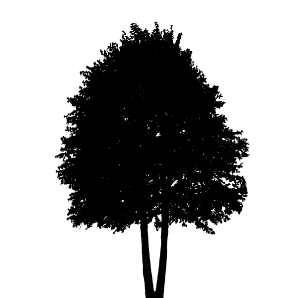 Silhouette d'arbre isolée sur fond blanc. Illustration vectorielle — Image vectorielle