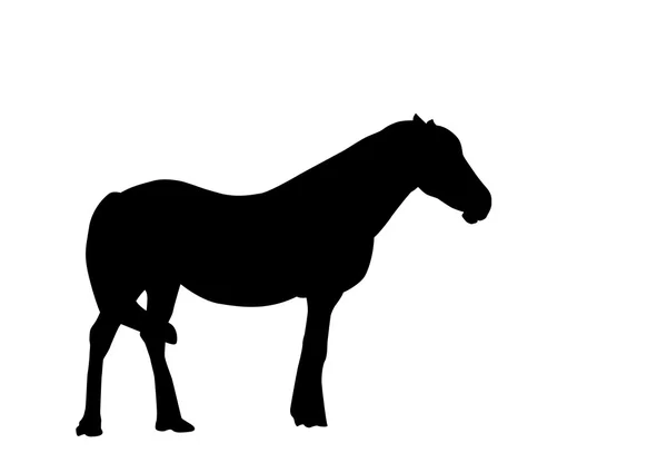 Silhouette Horse. Vector Illustration. — Stock Vector