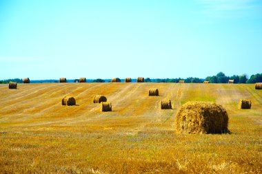 Alandan sonra hasat saman.