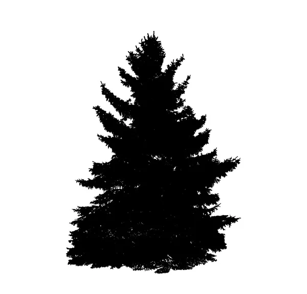 Tree Silhouette Isolado em fundo branco. Vector Illustratio —  Vetores de Stock