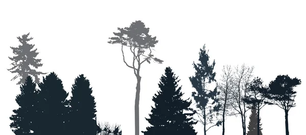 Imagen de la naturaleza. Silueta de árbol. Banner ecológico. Ilustración vectorial . — Archivo Imágenes Vectoriales