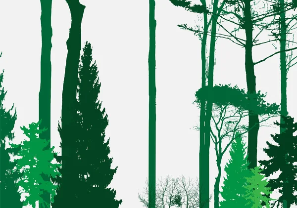 Bild der Natur. Baumsilhouette. Öko-Banner. Vektorillustration. — Stockvektor