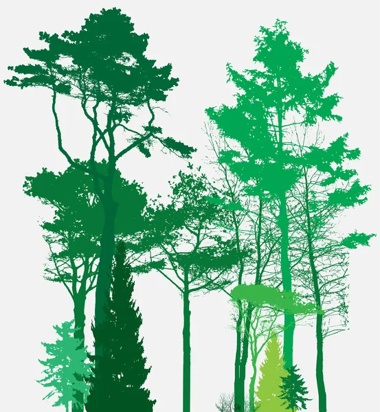 Image de la nature. Silhouette d'arbre. Éco bannière. Illustration vectorielle . — Image vectorielle