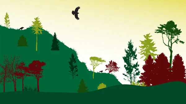 Imagen de la naturaleza. Silueta de árbol. Banner ecológico. Ilustración vectorial — Archivo Imágenes Vectoriales