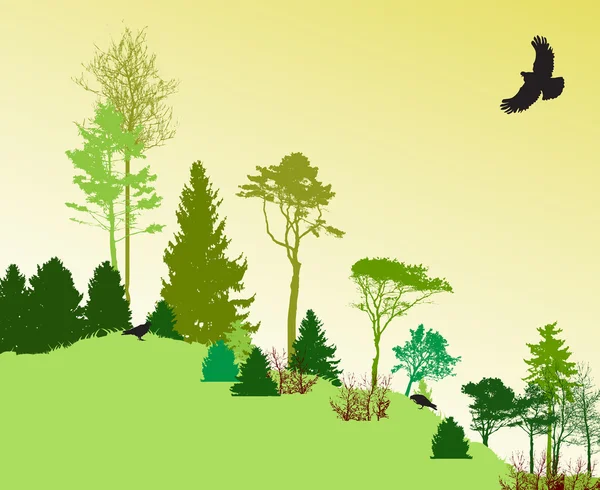 Immagine della Natura. Silhouette dell'albero. Bandiera ecologica. Vettore Illustratio — Vettoriale Stock