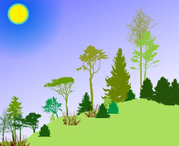 자연의 이미지입니다. 나무 실루엣입니다. 에코 배너입니다. 벡터 Illustratio — 스톡 벡터