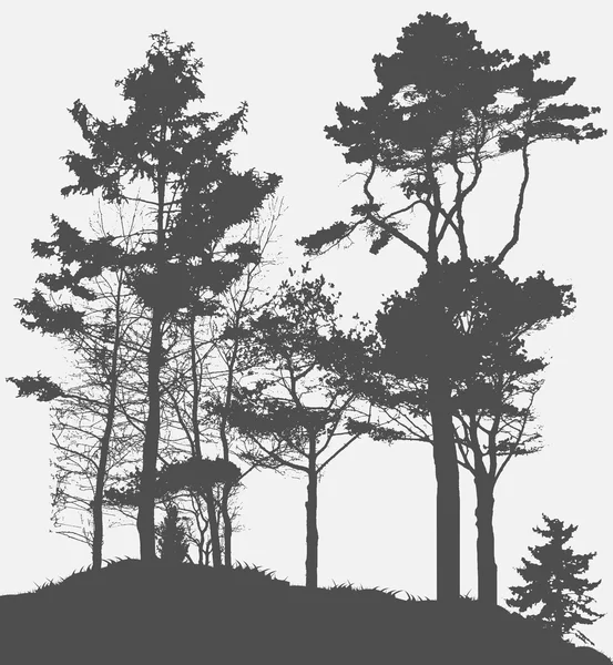 Immagine della Natura. Silhouette dell'albero. Illustrazione vettoriale — Vettoriale Stock