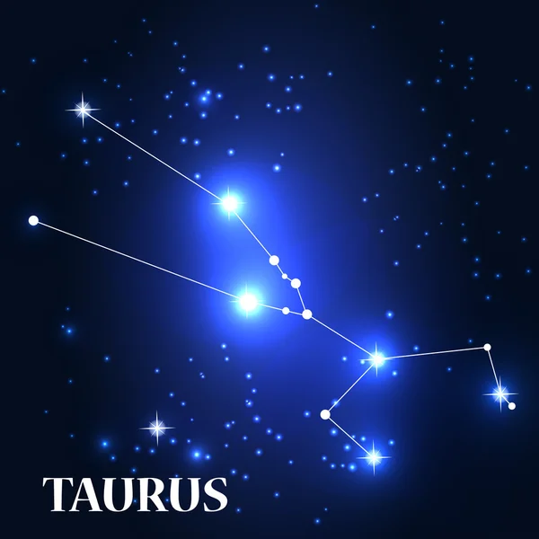 Taurus Zodiac Sign. — Stock Vector