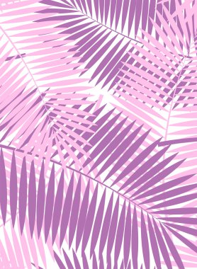 Palmiye yaprağı vektör çerçeve arka plan illüstrasyon