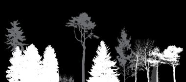 Doğa görüntü. Ağaç siluet. Eko afiş. Vektör Illustratio