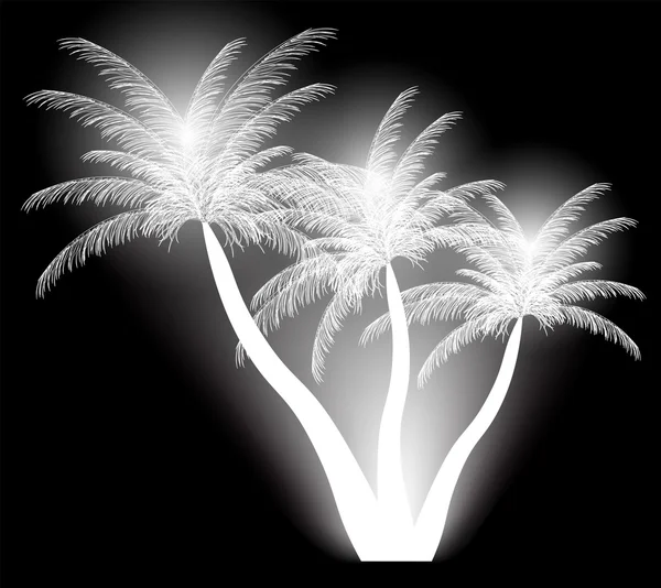Силуэт пальмы. Векторная иллюстрация. EPS 10 . — стоковый вектор