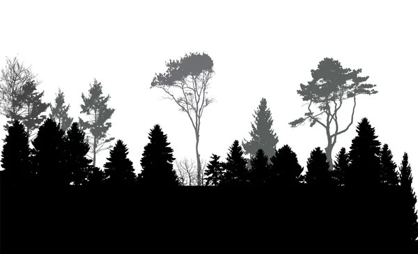 Image de la nature. Silhouette d'arbre. Éco bannière. Illustration vectorielle — Image vectorielle