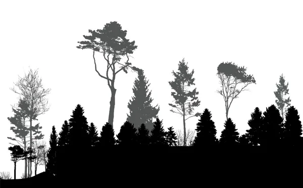 निसर्गाची प्रतिमा. वृक्ष सिल्हूट. इको बॅनर. व्हेक्टर इलस्ट्रेशन — स्टॉक व्हेक्टर